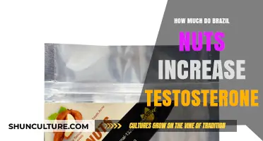 Brazil Nuts and Testosterone: Unlocking the Hormonal Boost Potential