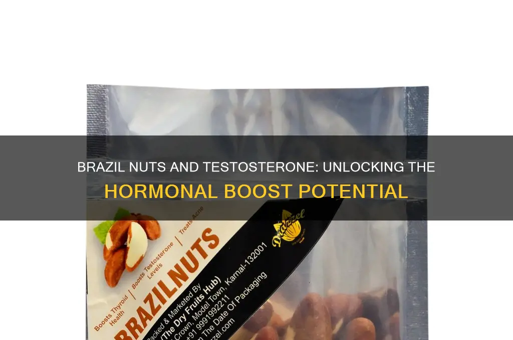 how much do brazil nuts increase testosterone