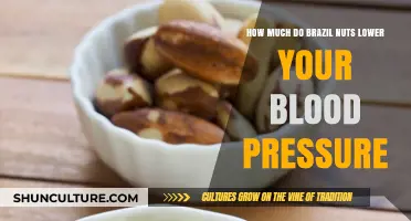Brazil Nuts and Blood Pressure: Unlocking the Natural Hypertension Solution