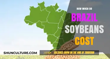 Understanding Brazil Soybean Prices: Factors Influencing Costs and Market Trends