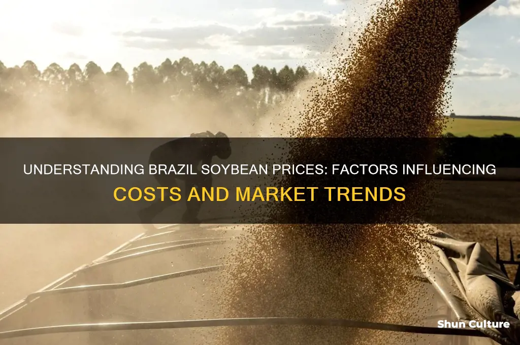 how much do brazil soybeans cost