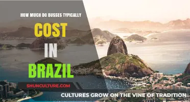 Exploring Brazil's Bus Prices: Average Costs and Budgeting Tips