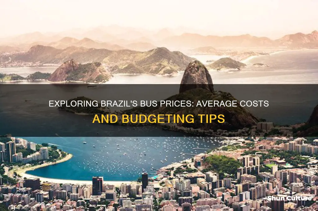 how much do busses typically cost in brazil