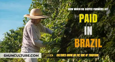 Brazil's Coffee Farmers: Unveiling Their Earnings and Industry Challenges