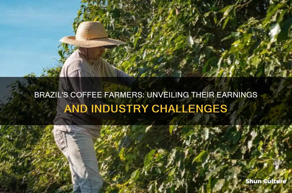 how much do coffee farmers get paid in brazil