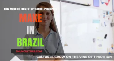Elementary School Principal Salaries in Brazil: A Comprehensive Overview