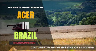 Brazil's Agricultural Output: Unveiling Farmers' Productivity Per Acre