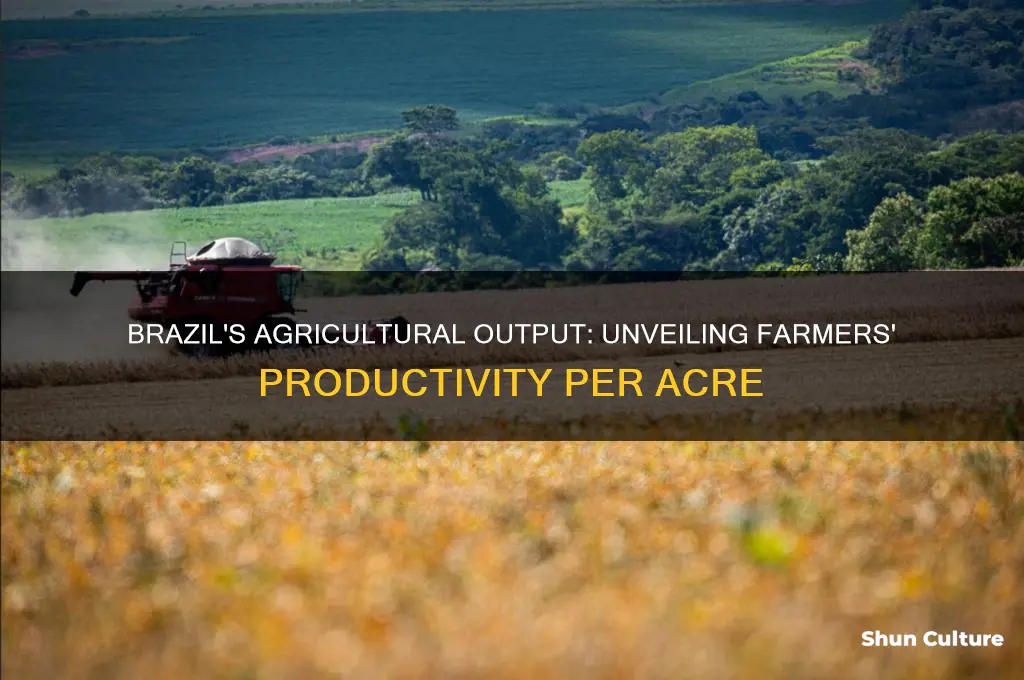 how much do farmers produce per acer in brazil