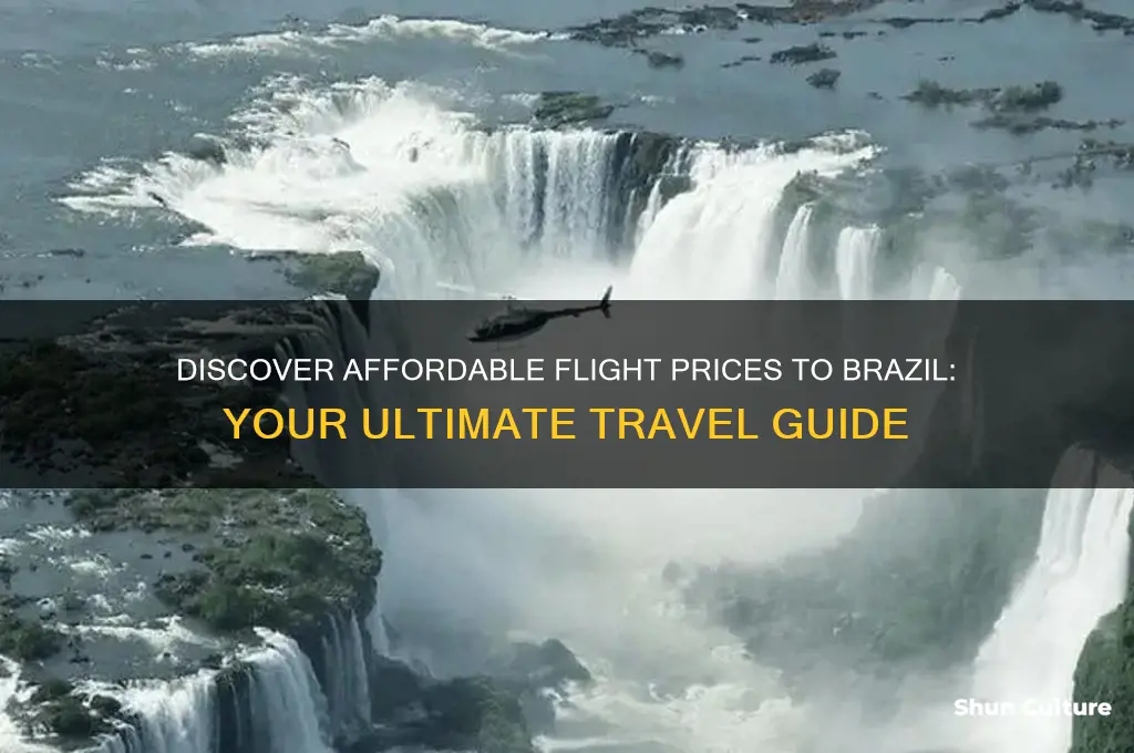 how much do flights to brazil cost