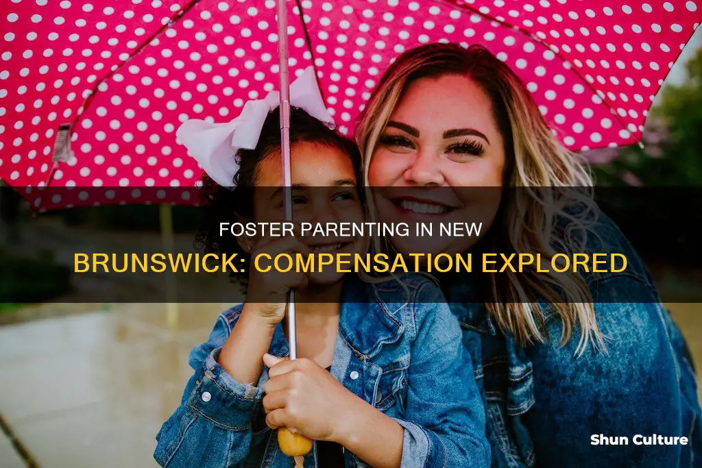 how much do foster parents get paid in new brunswick