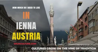 Exploring Vienna's Cost of Living: A Guide to Budgeting