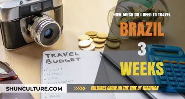 Budgeting for Brazil: 3-Week Travel Costs and Savings Tips