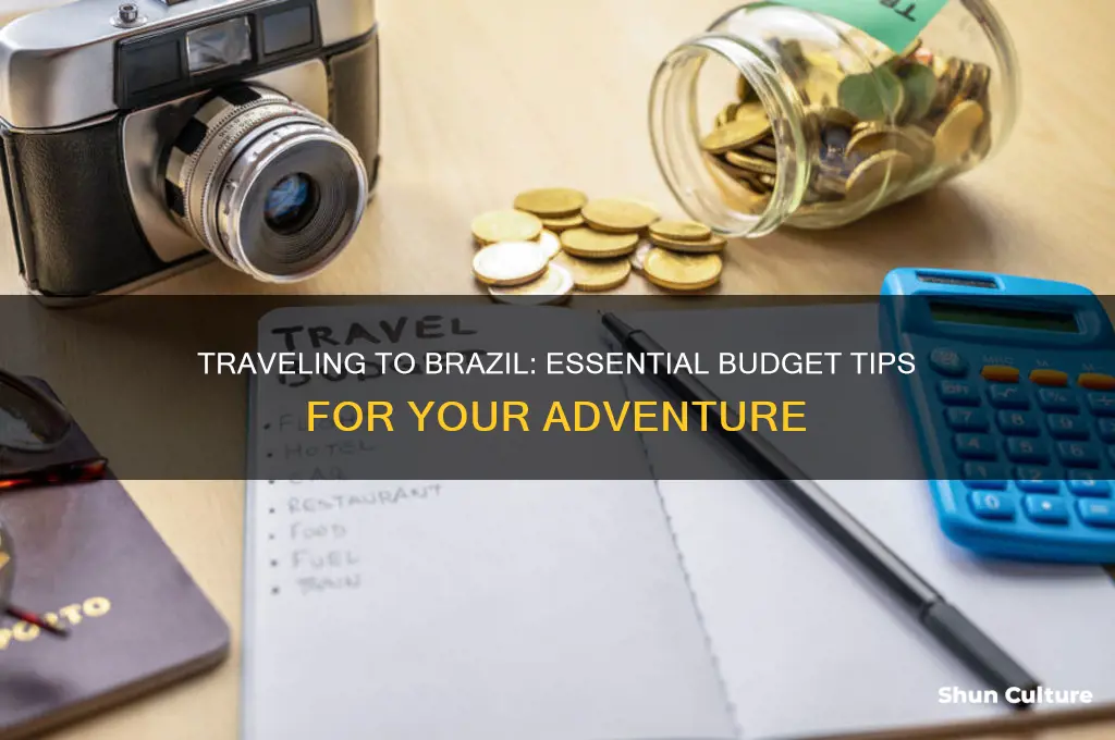 how much do I need to travel to brazil