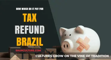Understanding Brazil's Tax Refund Payments: How Much Can You Expect?