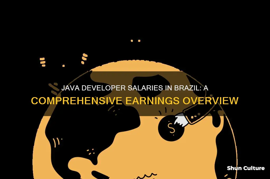 how much do java programmers make in brazil