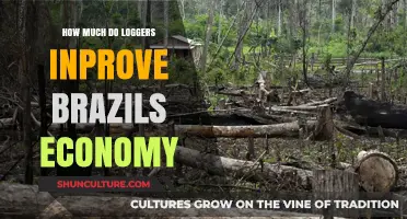 Logging's Economic Impact: Boosting Brazil's Growth and Development