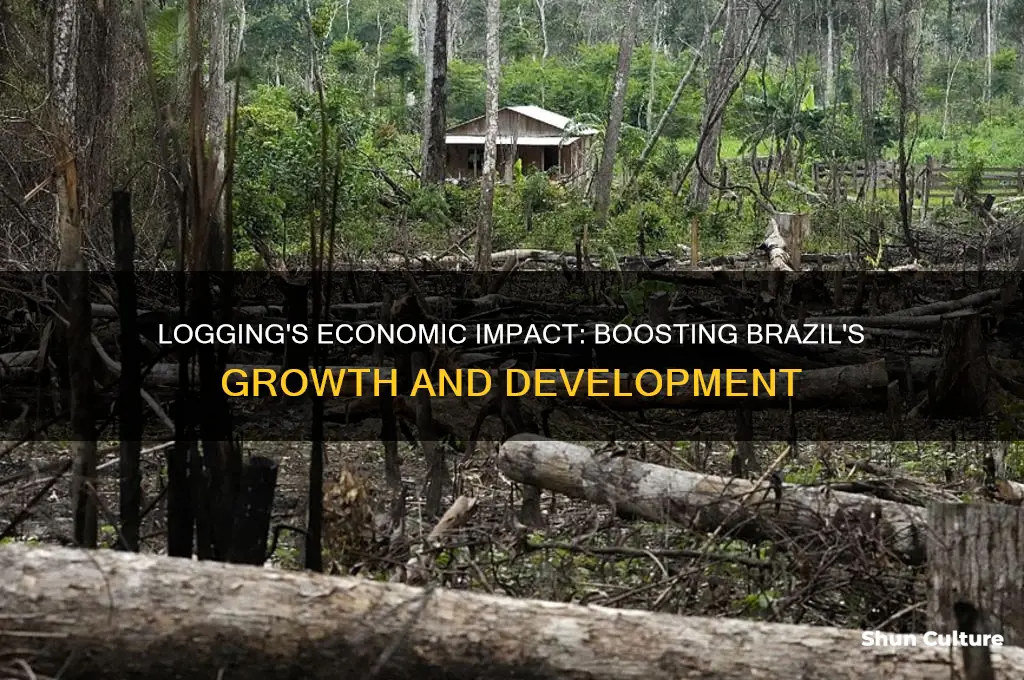 how much do loggers inprove brazils economy