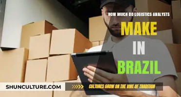 Logistics Analyst Salaries in Brazil: A Comprehensive Earnings Overview