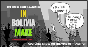 Middle-Class Earnings in Bolivia: A Financial Perspective