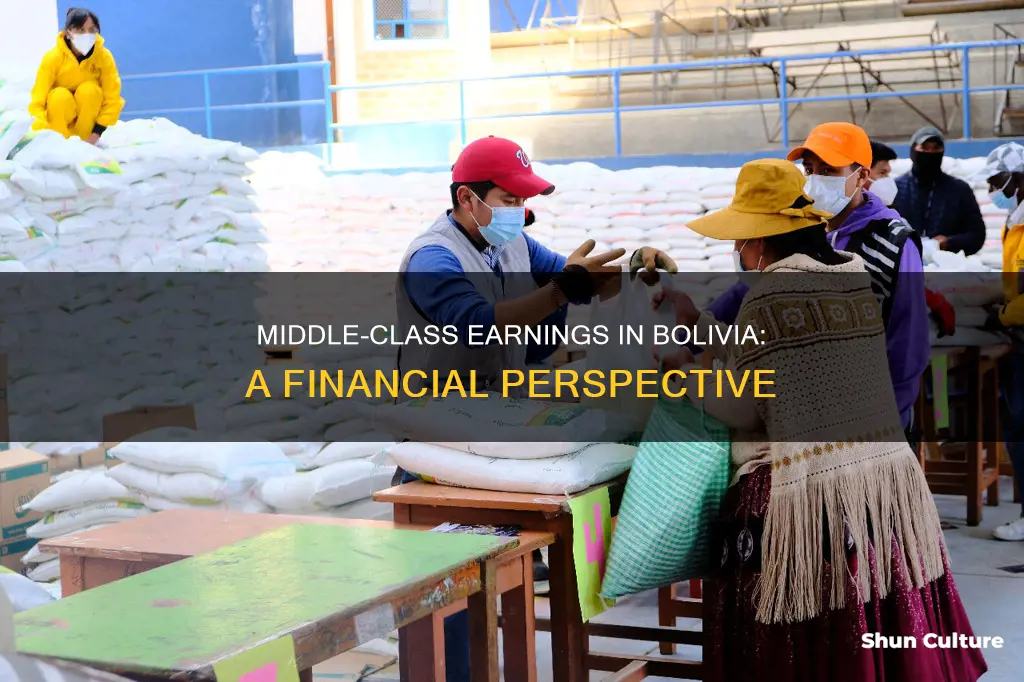 how much do middle class families in bolivia make