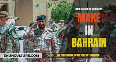 Bahrain Military: Salary Insights and Career Opportunities