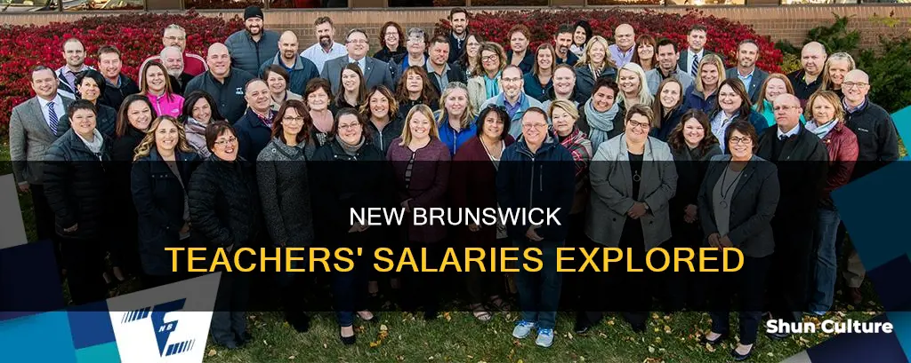 how much do new brunswick teachers make