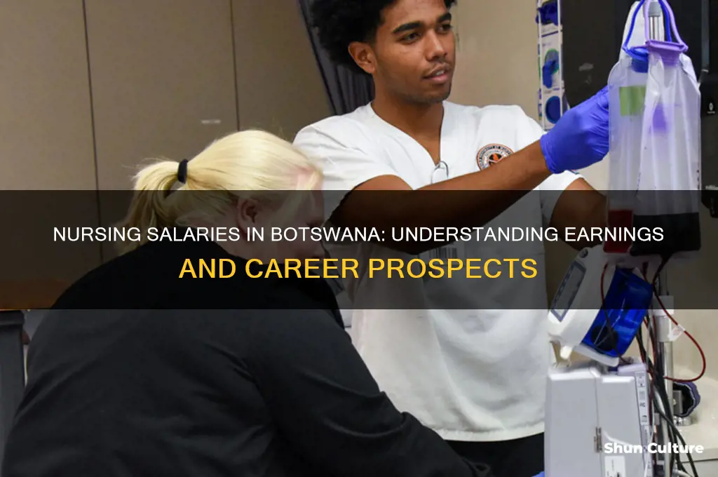 how much do nurses earn in botswana