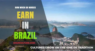 Nursing Salaries in Brazil: Understanding Earnings and Career Prospects