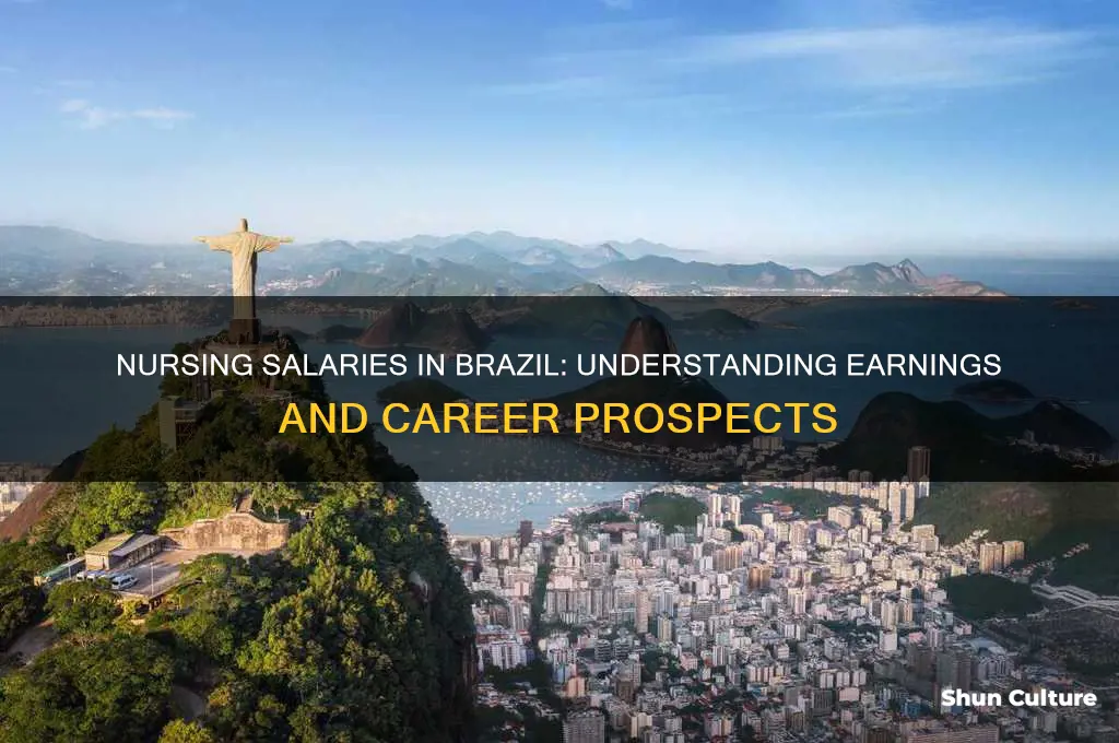 how much do nurses earn in brazil