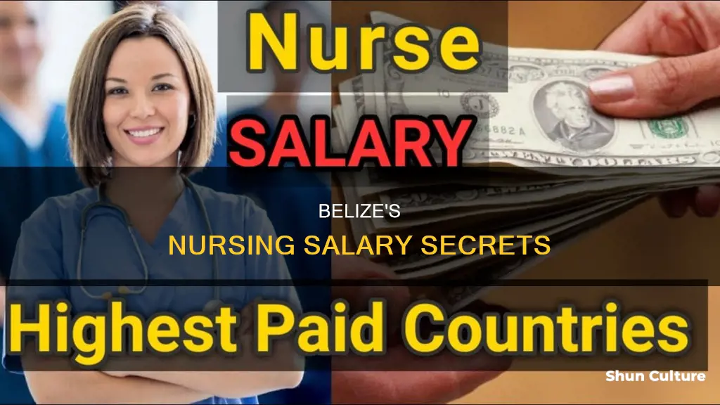 how much do nurses make in belize