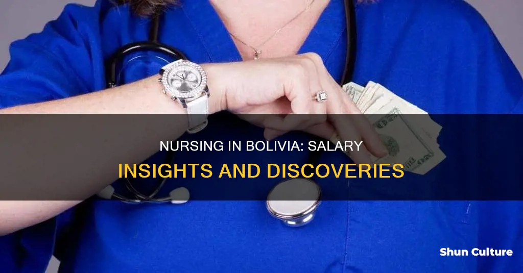 how much do nurses make in bolivia