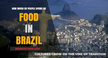Exploring Brazil's Food Spending: Average Costs and Budget Insights