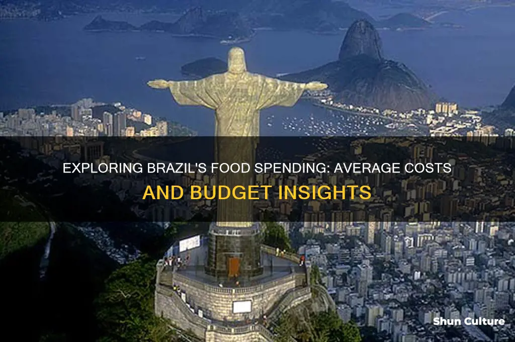 how much do people spend on food in brazil