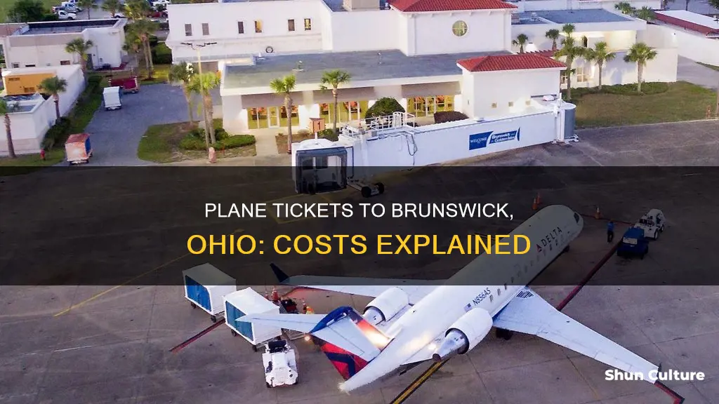 how much do plane tickets cost to brunswick ohio