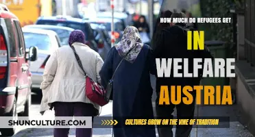 Austria's Refugee Welfare: A Comprehensive Guide to Benefits and Support