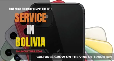 Cell Service Costs for Residents in Bolivia