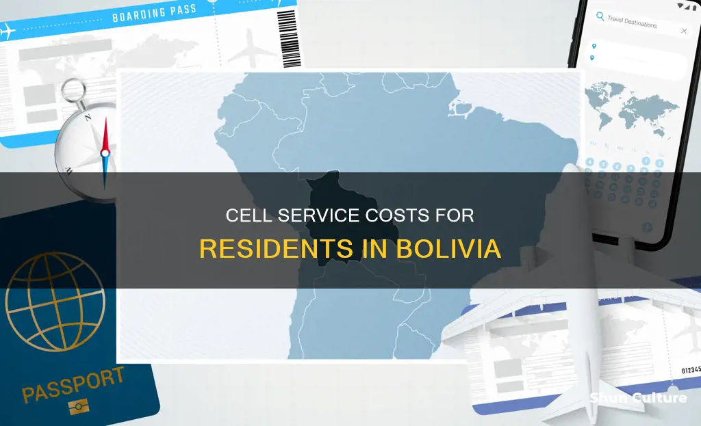 how much do residents pay for cell service in bolivia