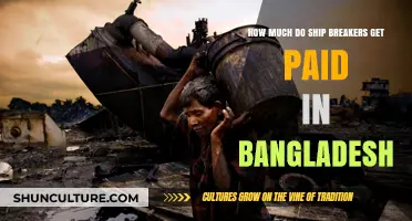 Ship Breaking Wages in Bangladesh: Earnings and Economic Realities