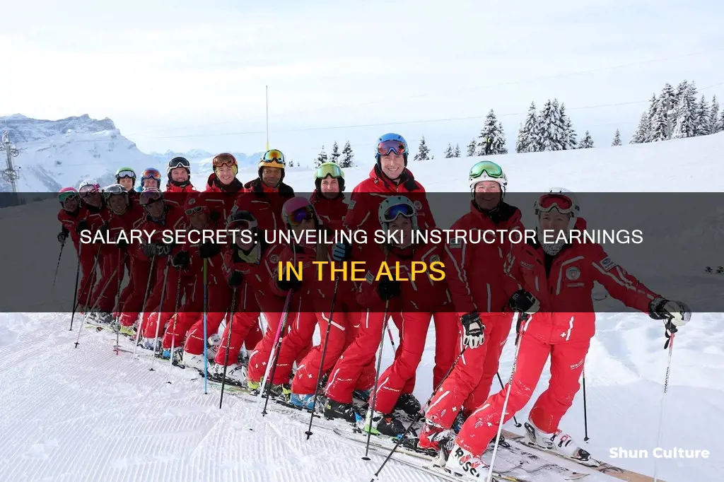 how much do ski instructors get paid in austria