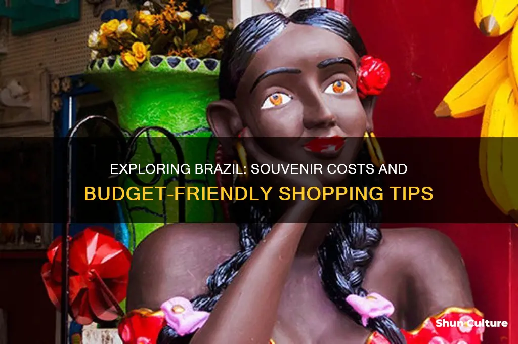 how much do souvenirs cost in brazil