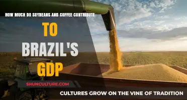 Soybeans and Coffee: Key Drivers of Brazil's Economic Growth