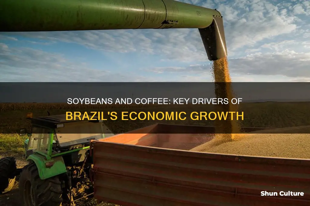 how much do soybeans and coffee contribute to brazil
