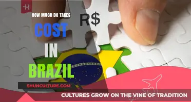 Understanding Taxi Fares in Brazil: Costs and Budgeting Tips