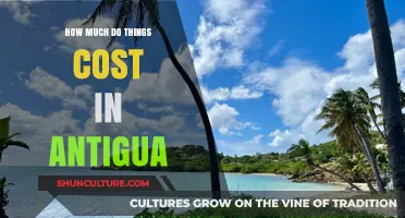 Exploring Antigua's Expenses: A Comprehensive Cost Guide for Travelers