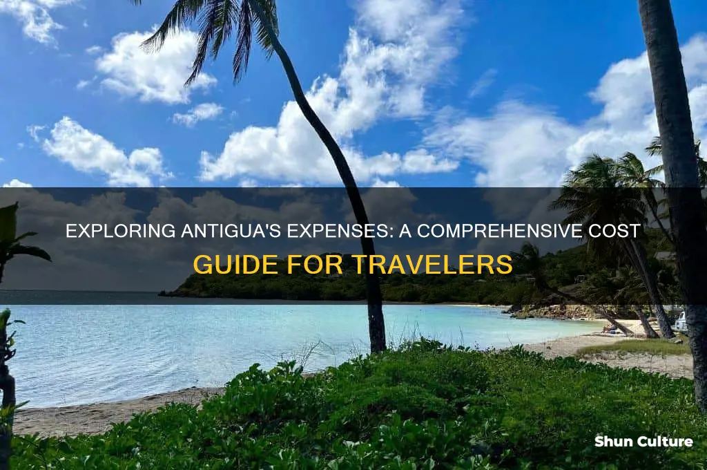 how much do things cost in antigua