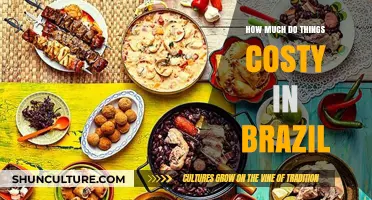 Exploring Brazil's Prices: A Guide to Everyday Costs and Expenses