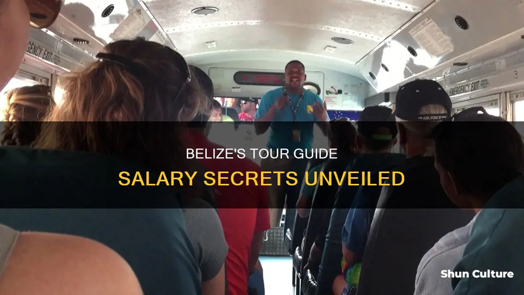 how much do tour guides make in belize