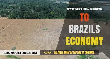 Trees' Economic Impact: Brazil's Green Wealth and Growth Engine