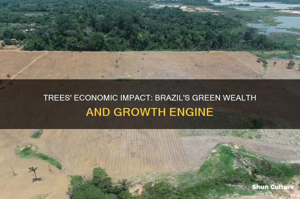 how much do trees contribute to brazils economy