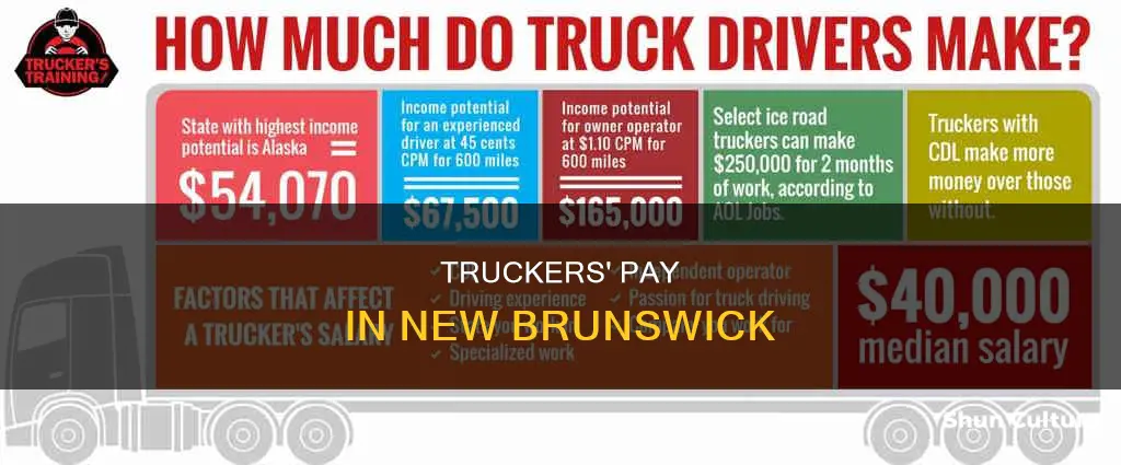 how much do truck drivers make in new brunswick